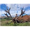 Image 4 : SL19 - SCOTTISH RED STAG HUNT FOR 1 HUNTER