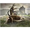 Image 6 : SL19 - SCOTTISH RED STAG HUNT FOR 1 HUNTER