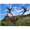 Image 7 : SL19 - SCOTTISH RED STAG HUNT FOR 1 HUNTER