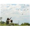 Image 5 : SL20 - ARGENTINA DOVE HUNT FOR 2 - 6 HUNTERS
