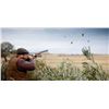 Image 7 : SL20 - ARGENTINA DOVE HUNT FOR 2 - 6 HUNTERS