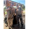 Image 3 : SL21 - MISSOURI SQUIRREL HUNT & EPICUREAN EXPERIENCE FOR 2 HUNTERS