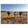 Image 1 : SL22 - VIC FALLS AND SOUTH AFRICAN PLAINS GAME AND TOURING SAFARI FOR 1 HUNTER AND 1 NON-HUNTER