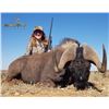 Image 5 : SL22 - VIC FALLS AND SOUTH AFRICAN PLAINS GAME AND TOURING SAFARI FOR 1 HUNTER AND 1 NON-HUNTER
