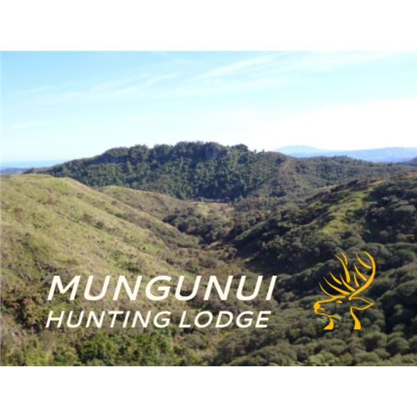 SL23 - NEW ZEALAND RED STAG HUNT FOR 2 HUNTERS