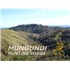 Image 1 : SL23 - NEW ZEALAND RED STAG HUNT FOR 2 HUNTERS