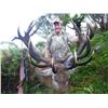 Image 2 : SL23 - NEW ZEALAND RED STAG HUNT FOR 2 HUNTERS