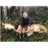 Image 3 : SL23 - NEW ZEALAND RED STAG HUNT FOR 2 HUNTERS