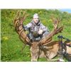 Image 5 : SL23 - NEW ZEALAND RED STAG HUNT FOR 2 HUNTERS
