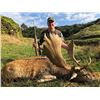 Image 6 : SL23 - NEW ZEALAND RED STAG HUNT FOR 2 HUNTERS