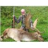 Image 7 : SL23 - NEW ZEALAND RED STAG HUNT FOR 2 HUNTERS