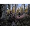 Image 4 : SL24 - COLORADO BULL ELK/BLACK BEAR ARCHERY HUNT FOR 1 HUNTER AND 1 NON-HUNTER