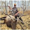 Image 5 : SL24 - COLORADO BULL ELK/BLACK BEAR ARCHERY HUNT FOR 1 HUNTER AND 1 NON-HUNTER