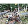 Image 6 : SL24 - COLORADO BULL ELK/BLACK BEAR ARCHERY HUNT FOR 1 HUNTER AND 1 NON-HUNTER