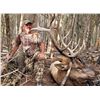 Image 7 : SL24 - COLORADO BULL ELK/BLACK BEAR ARCHERY HUNT FOR 1 HUNTER AND 1 NON-HUNTER