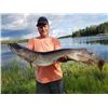 Image 7 : SL25 - ONTARIO FISHING ADVENTURE FOR 6 ANGLERS