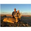 Image 4 : SL27 - WISCONSIN WHITETAL HUNT FOR 1 HUNTER