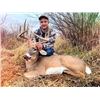 Image 5 : SL27 - WISCONSIN WHITETAL HUNT FOR 1 HUNTER