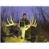 Image 6 : SL27 - WISCONSIN WHITETAL HUNT FOR 1 HUNTER