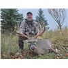 Image 7 : SL27 - WISCONSIN WHITETAL HUNT FOR 1 HUNTER