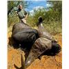 Image 14 : SL28 - NAMIBIAN CAPE BUFFALO SAFARI FOR 1 HUNTER AND 1 NON-HUNTER