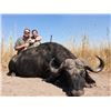 Image 15 : SL28 - NAMIBIAN CAPE BUFFALO SAFARI FOR 1 HUNTER AND 1 NON-HUNTER