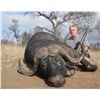 Image 5 : SL28 - NAMIBIAN CAPE BUFFALO SAFARI FOR 1 HUNTER AND 1 NON-HUNTER