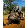Image 6 : SL28 - NAMIBIAN CAPE BUFFALO SAFARI FOR 1 HUNTER AND 1 NON-HUNTER