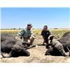 Image 7 : SL28 - NAMIBIAN CAPE BUFFALO SAFARI FOR 1 HUNTER AND 1 NON-HUNTER