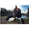 Image 2 : SL29 - MANITOBA BLACK BEAR HUNT FOR 2 HUNTERS