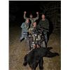 Image 5 : SL29 - MANITOBA BLACK BEAR HUNT FOR 2 HUNTERS