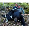 Image 6 : SL29 - MANITOBA BLACK BEAR HUNT FOR 2 HUNTERS