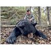 Image 7 : SL29 - MANITOBA BLACK BEAR HUNT FOR 2 HUNTERS
