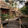 Image 5 : SL30 - BELIZE JUNGLE ADVENTURE FOR 2