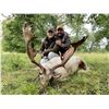 Image 10 : SL32 - SPANISH SOUTHEASTERN IBEX HUNT FOR 2 HUNTERS