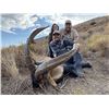 Image 3 : SL32 - SPANISH SOUTHEASTERN IBEX HUNT FOR 2 HUNTERS