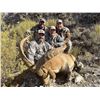 Image 5 : SL32 - SPANISH SOUTHEASTERN IBEX HUNT FOR 2 HUNTERS
