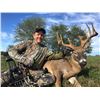 Image 8 : SL33 - MISSOURI ARCHERY WHITETAIL HUNT FOR 2 HUNTERS