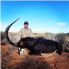 Image 6 : SL34 - SOUTH AFRICAN RHINO VITA DART SAFARI FOR 1 HUNTER