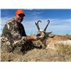 Image 10 : SL36 - COLORADO ANTELOPE HUNT FOR 1 HUNTER