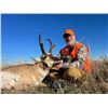 Image 11 : SL36 - COLORADO ANTELOPE HUNT FOR 1 HUNTER