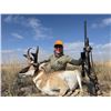 Image 12 : SL36 - COLORADO ANTELOPE HUNT FOR 1 HUNTER