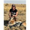 Image 2 : SL36 - COLORADO ANTELOPE HUNT FOR 1 HUNTER