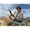 Image 3 : SL36 - COLORADO ANTELOPE HUNT FOR 1 HUNTER