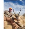 Image 5 : SL36 - COLORADO ANTELOPE HUNT FOR 1 HUNTER