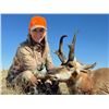Image 7 : SL36 - COLORADO ANTELOPE HUNT FOR 1 HUNTER