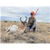 Image 8 : SL36 - COLORADO ANTELOPE HUNT FOR 1 HUNTER