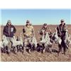 Image 3 : SL37 - WEST TEXAS SANDHILL CRANE HUNT FOR 2 HUNTERS