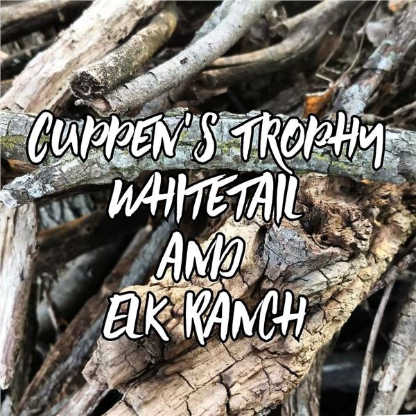 SL39 - MICHIGAN WHITETAIL DEER HUNT 2 HUNTERS