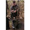 Image 4 : SL39 - MICHIGAN WHITETAIL DEER HUNT 2 HUNTERS
